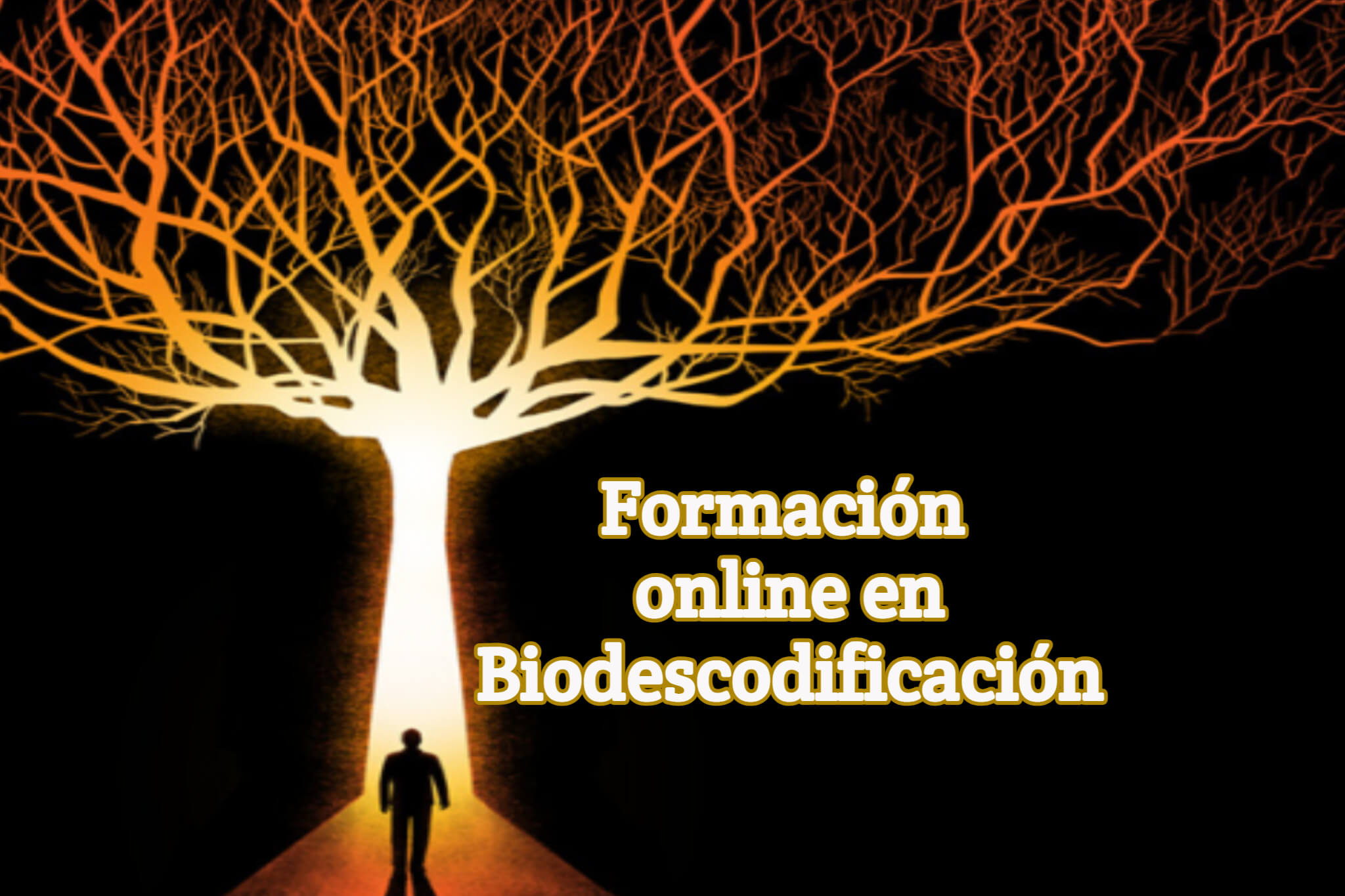 Formacion en biodescodificación